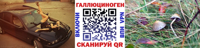 Псилоцибиновые грибы мицелий  где можно купить   Похвистнево 